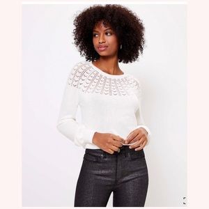LOFT Pointelle Yoke Sweater